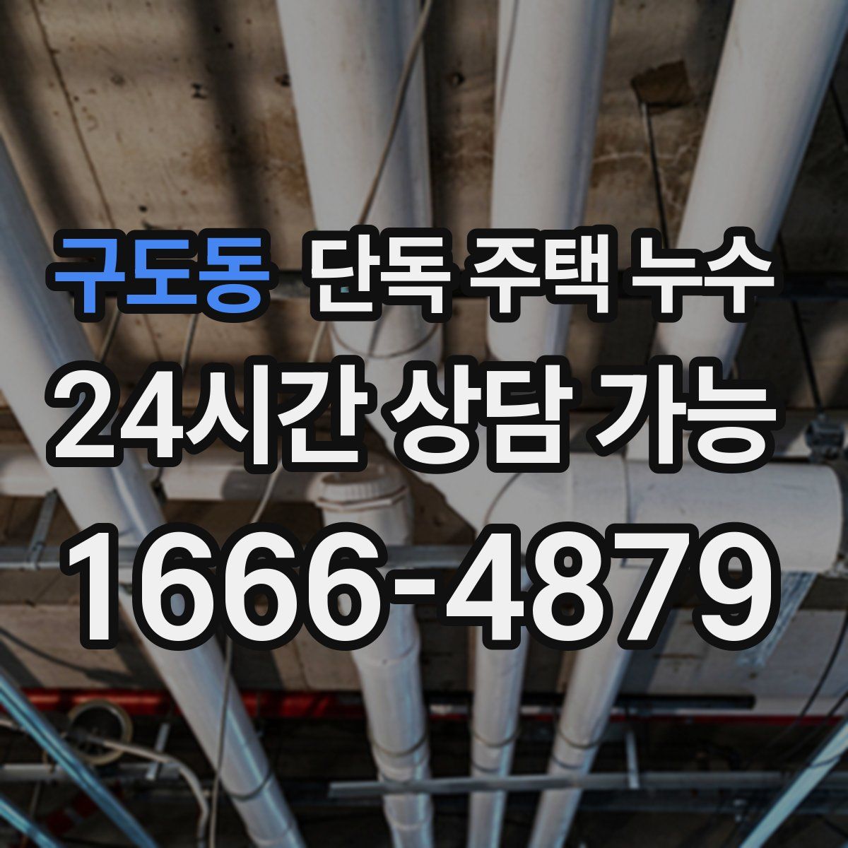 구도동 단독 주택 누수