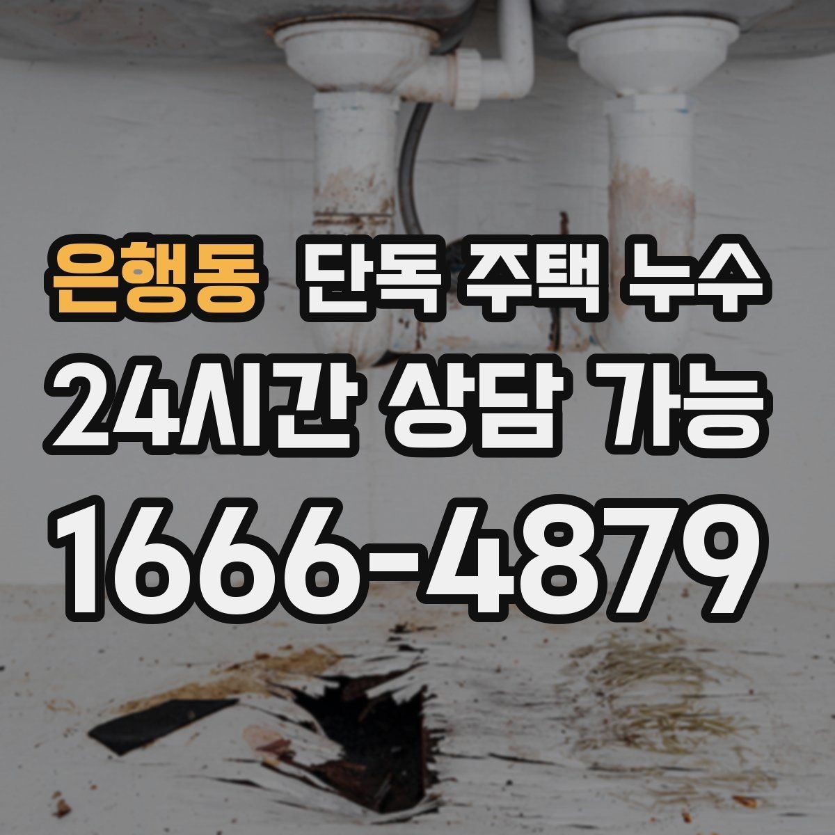 은행동 단독 주택 누수 바닥이 축축하면 가장 먼저 해야 할 조치
