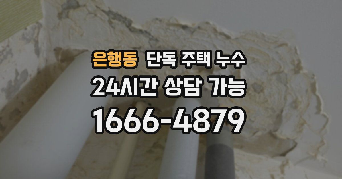 은행동 단독 주택 누수