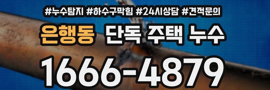 은행동 단독 주택 누수