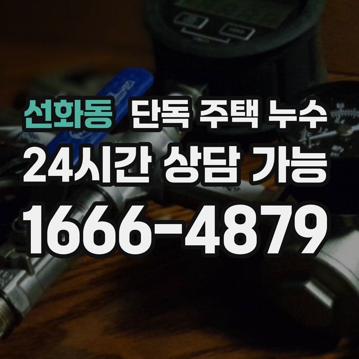 선화동 단독 주택 누수 외벽 균열과 실내 곰팡이의 연결