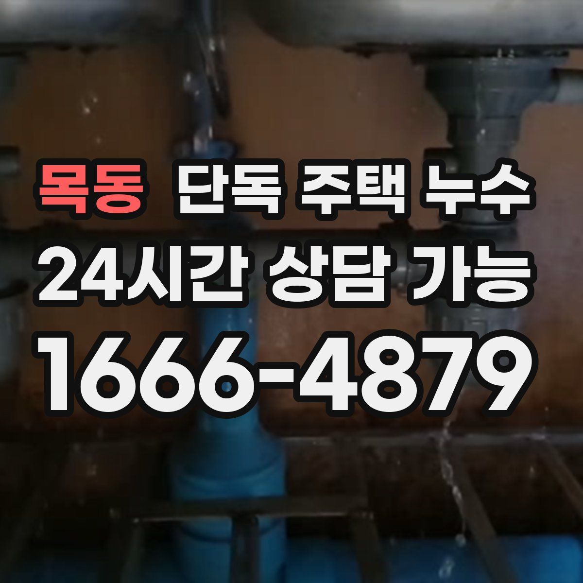 목동 단독 주택 누수