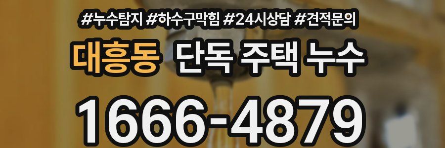 대흥동 단독 주택 누수