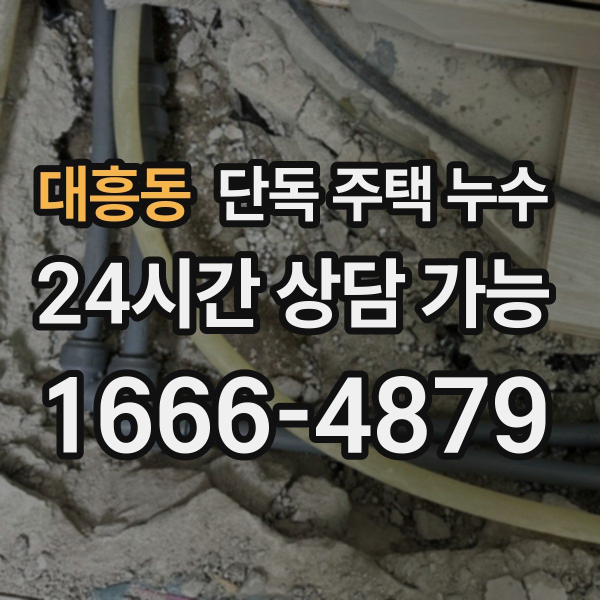 대흥동 단독 주택 누수