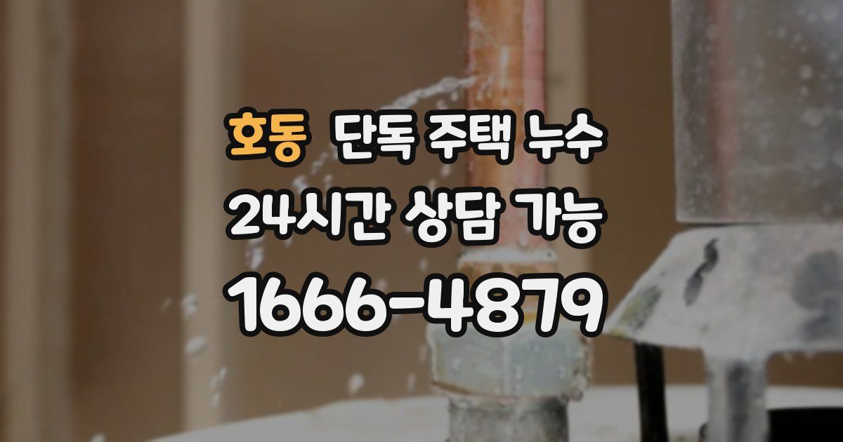 호동 단독 주택 누수