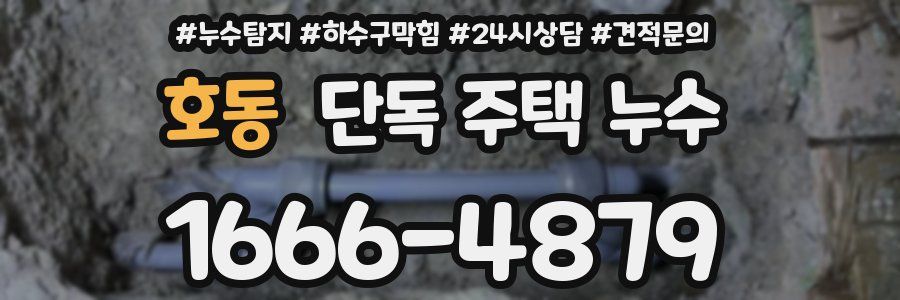 호동 단독 주택 누수