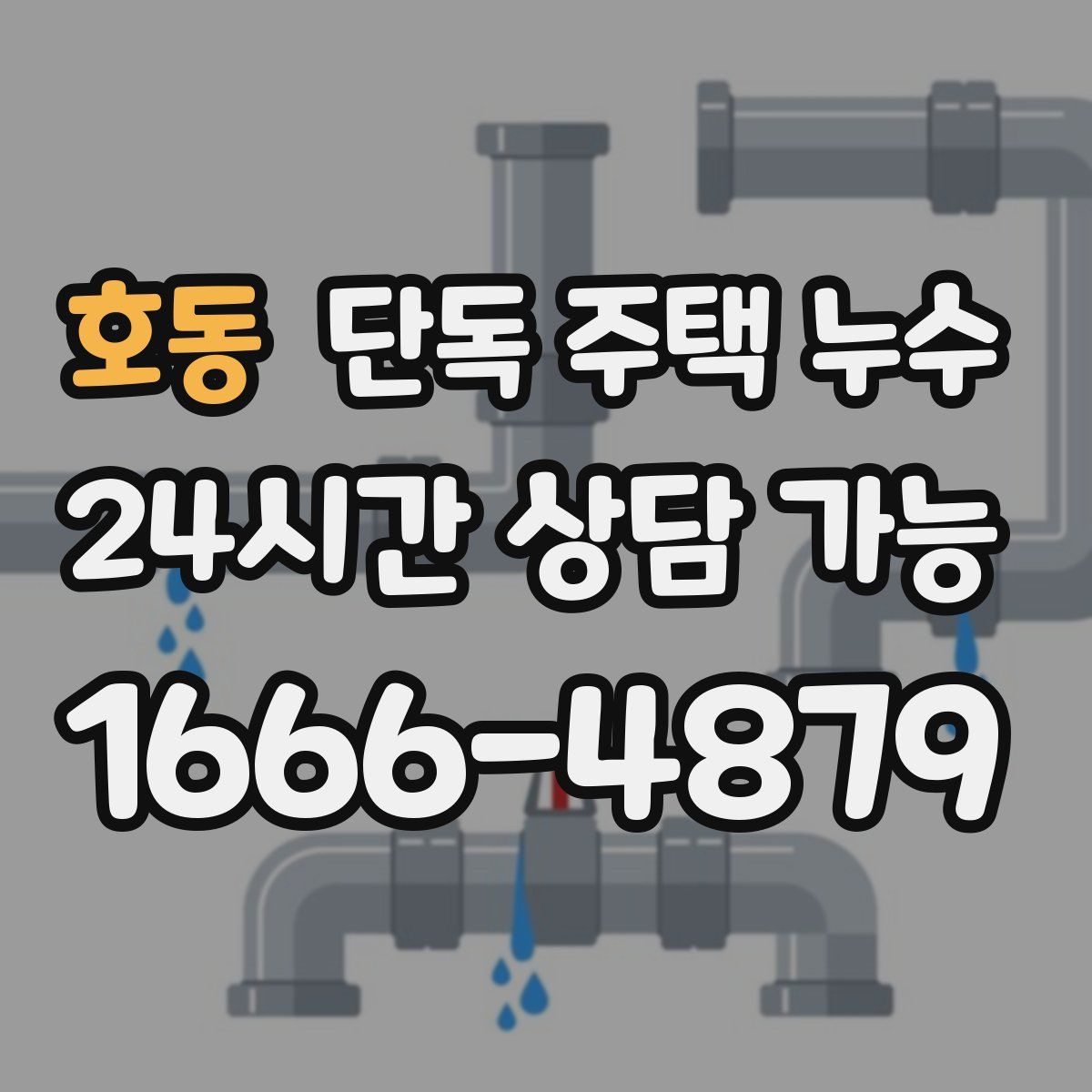 호동 단독 주택 누수