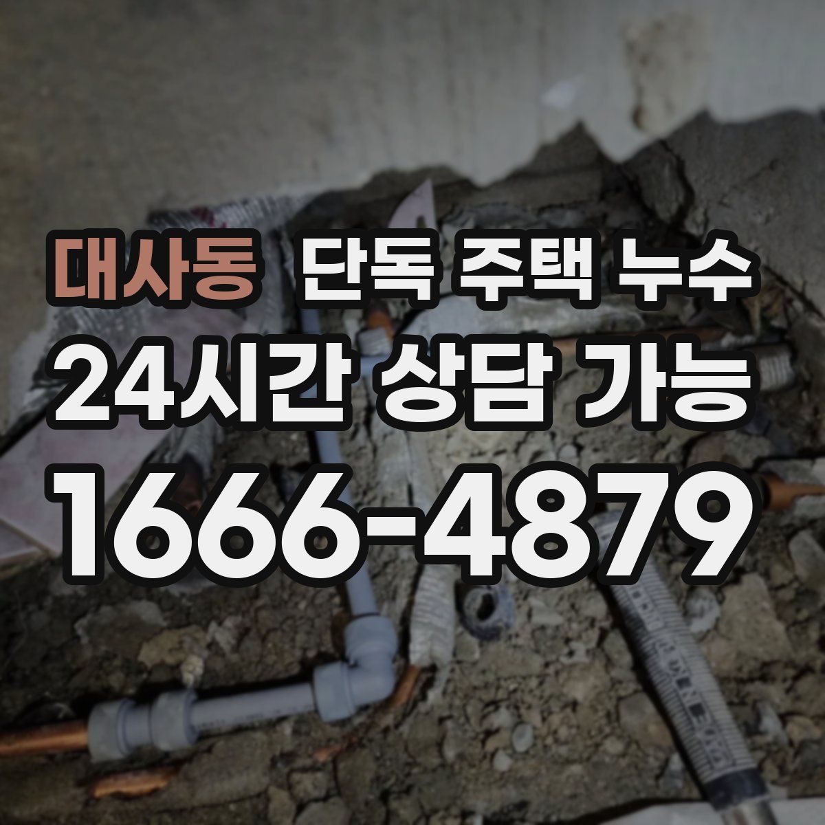 대사동 단독 주택 누수