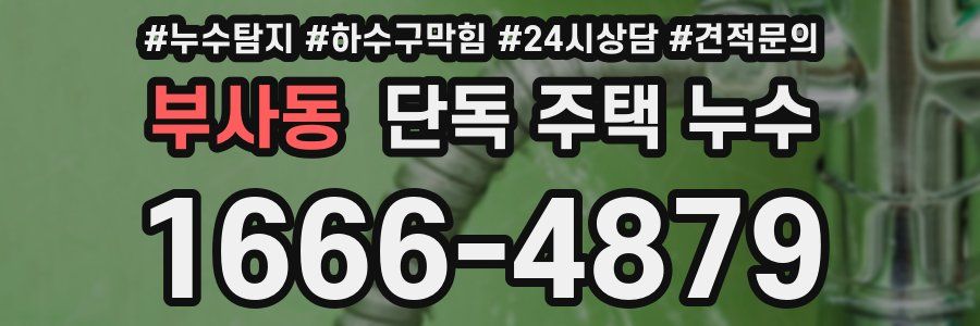 부사동 단독 주택 누수