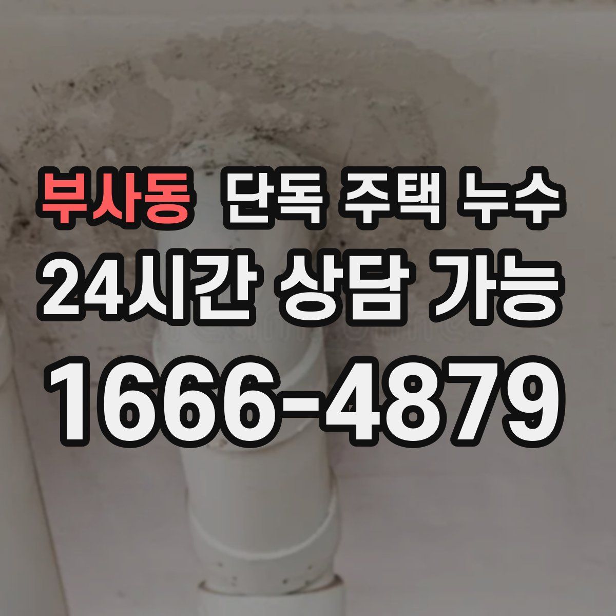 부사동 단독 주택 누수