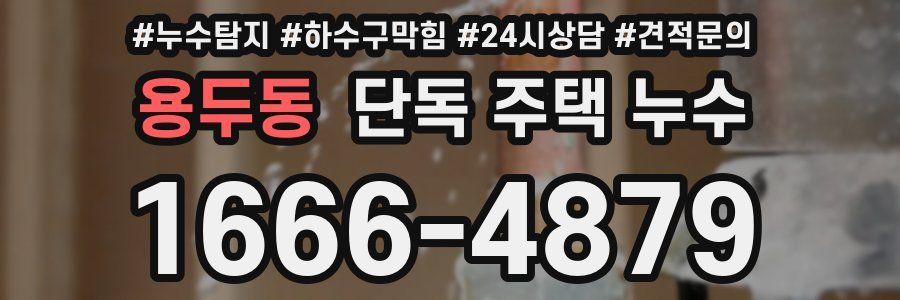 용두동 단독 주택 누수