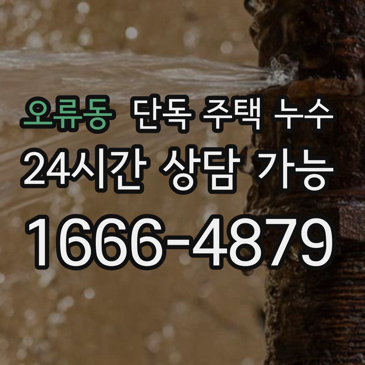 오류동 단독 주택 누수 다용도실 바닥 물 고임 원인