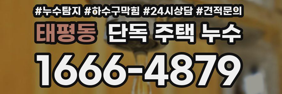 태평동 단독 주택 누수