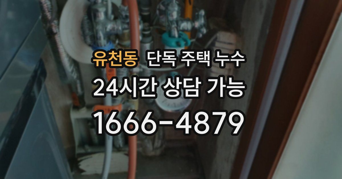 유천동 단독 주택 누수