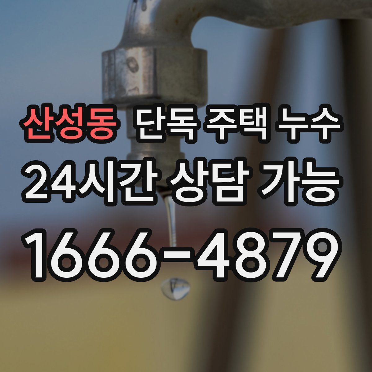 산성동 단독 주택 누수