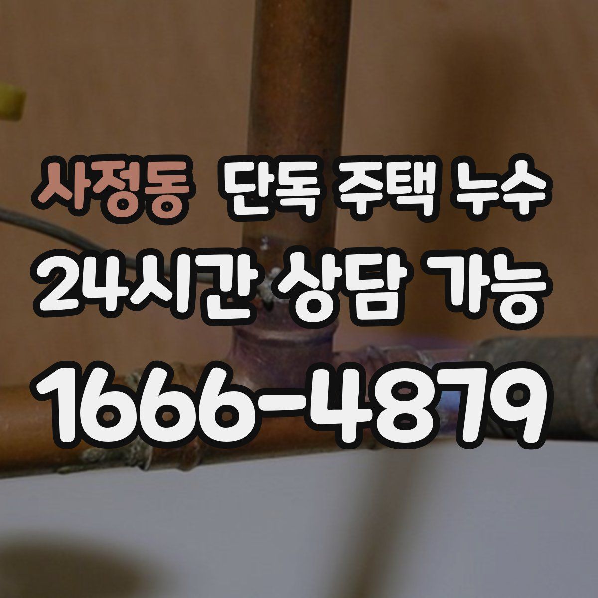 사정동 단독 주택 누수