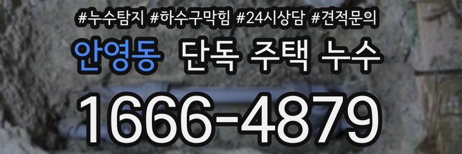 안영동 단독 주택 누수