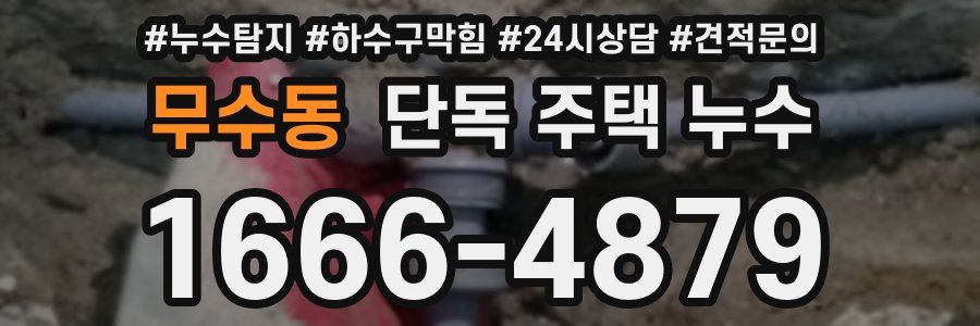 무수동 단독 주택 누수