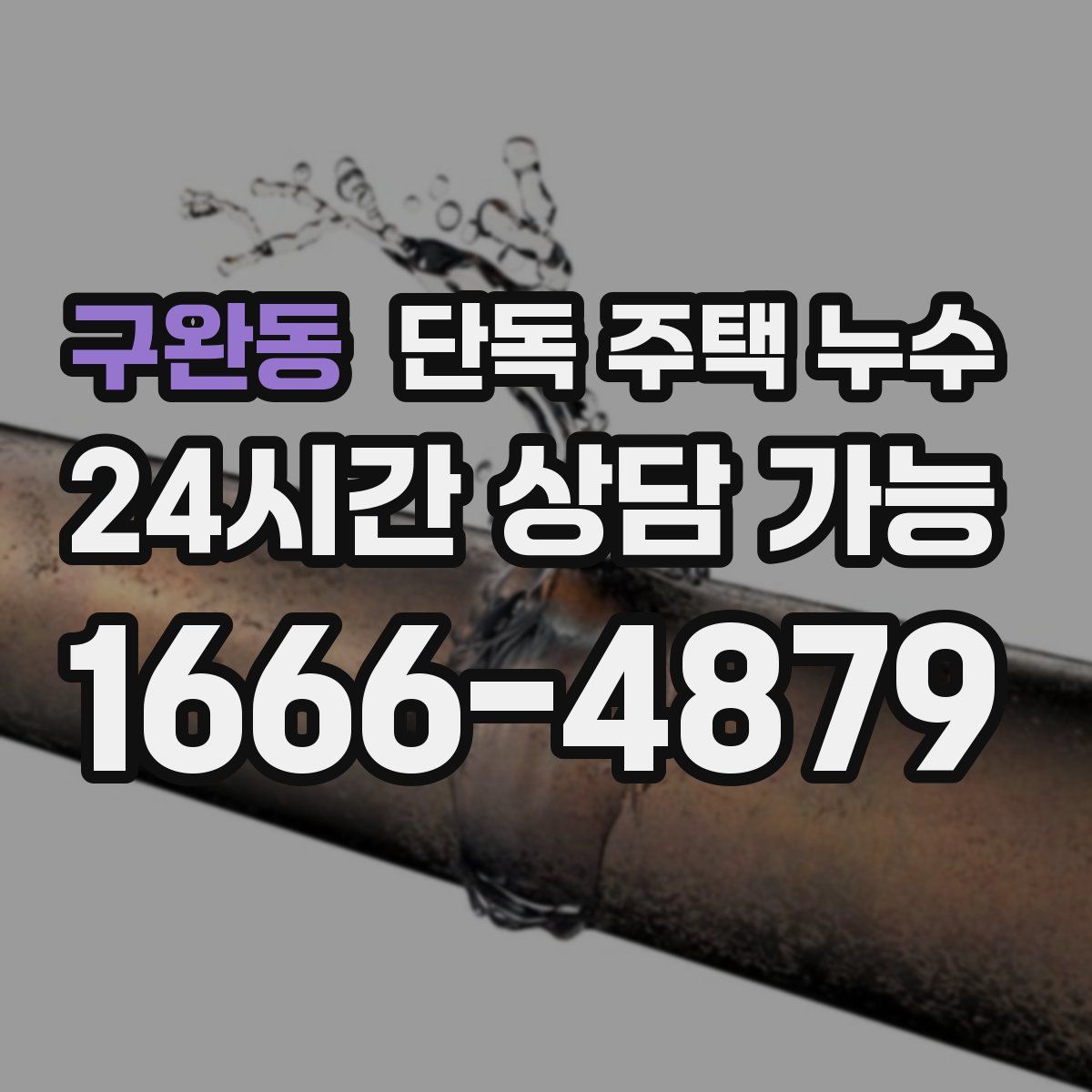 구완동 단독 주택 누수