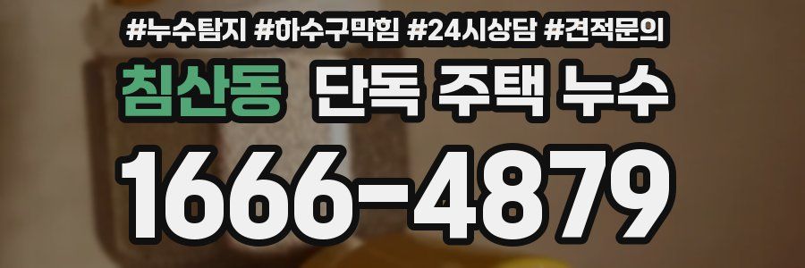 침산동 단독 주택 누수