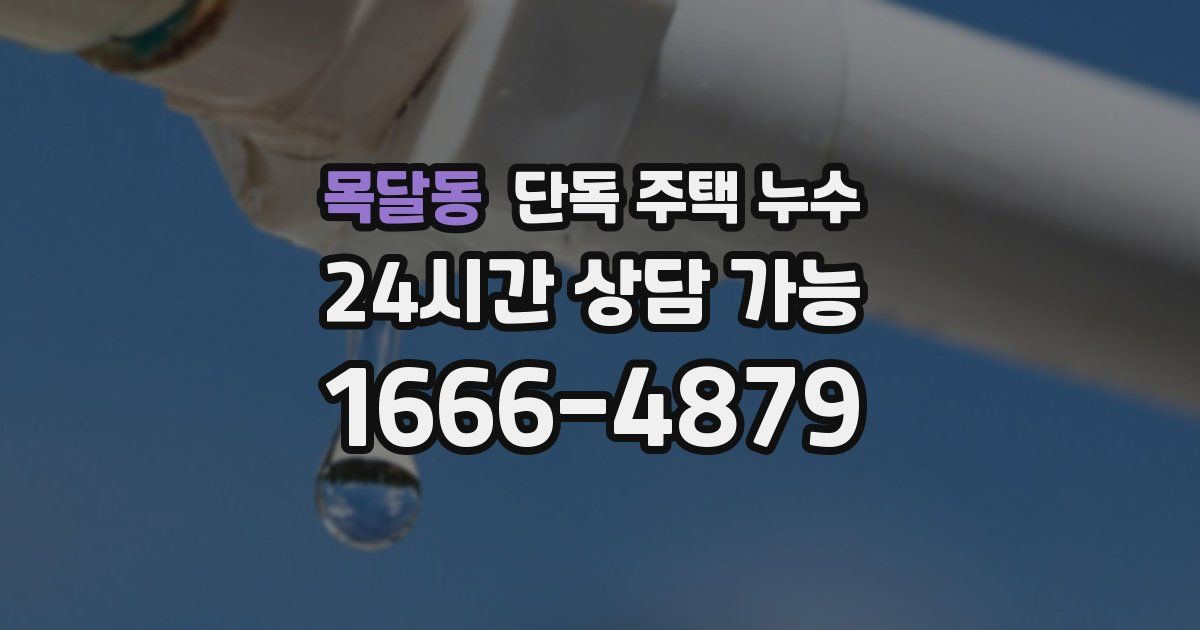 목달동 단독 주택 누수