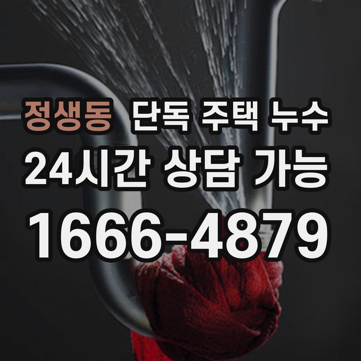 정생동 단독 주택 누수