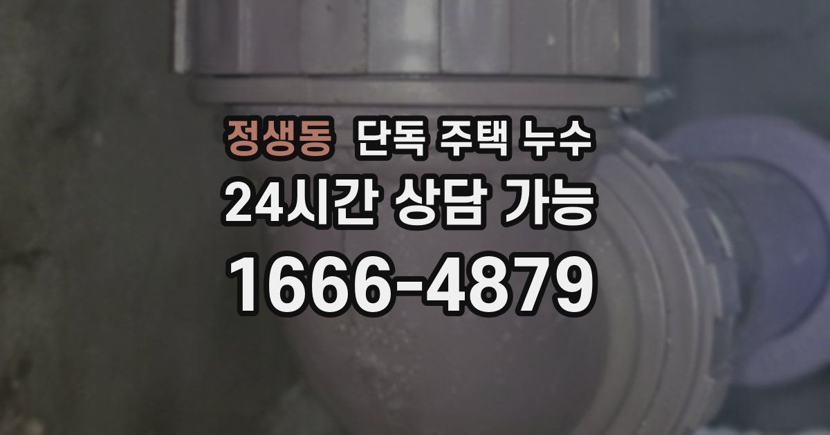 정생동 단독 주택 누수