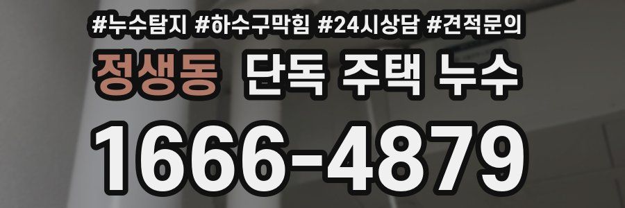 정생동 단독 주택 누수