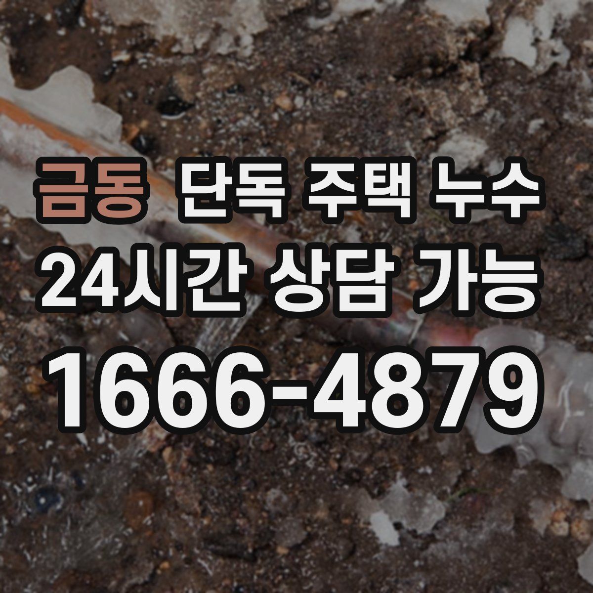 금동 단독 주택 누수