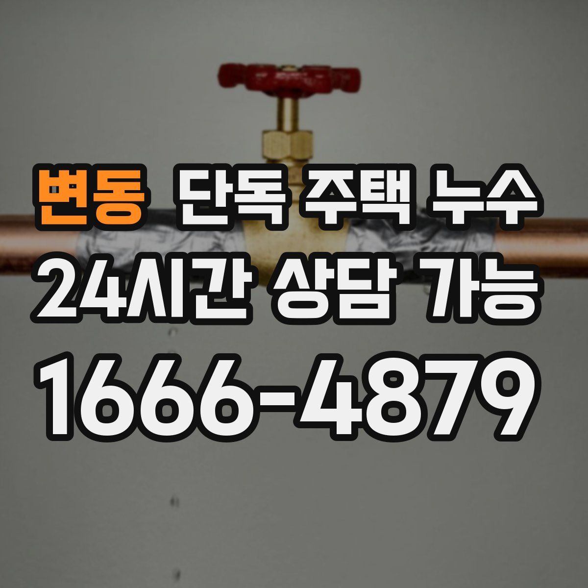 변동 단독 주택 누수