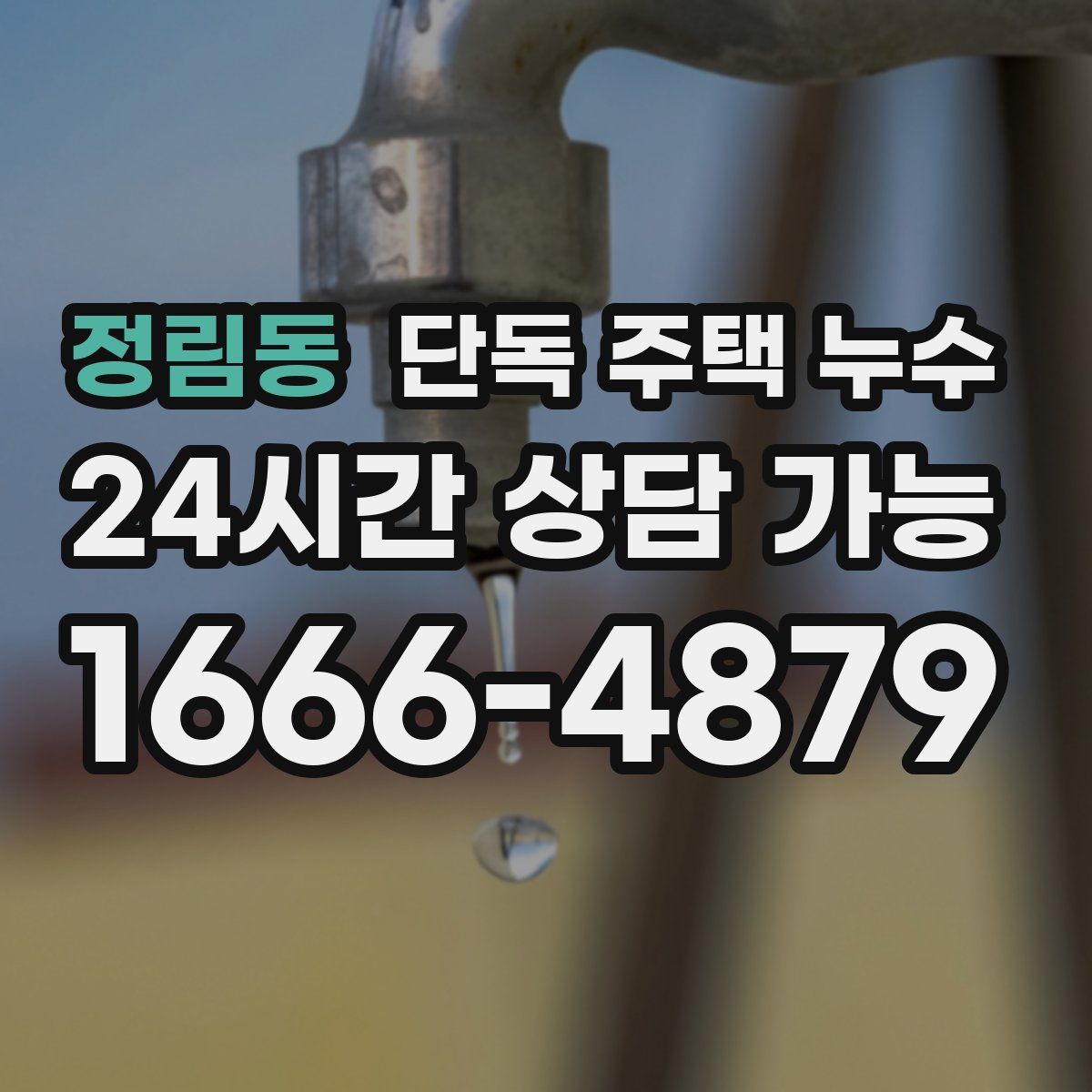 정림동 단독 주택 누수