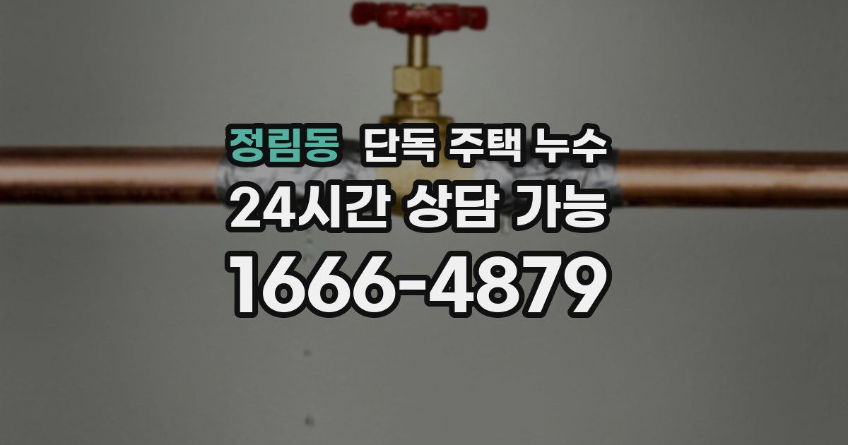 정림동 단독 주택 누수