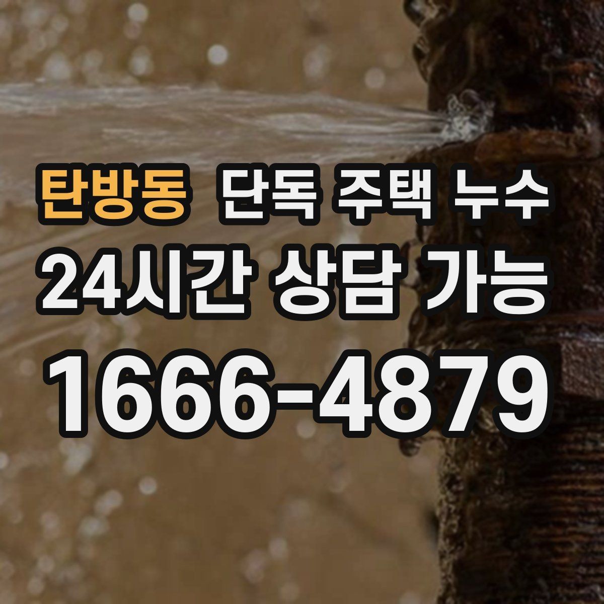 탄방동 단독 주택 누수 지붕과 배관 중 무엇이 원인인지 가르는 법