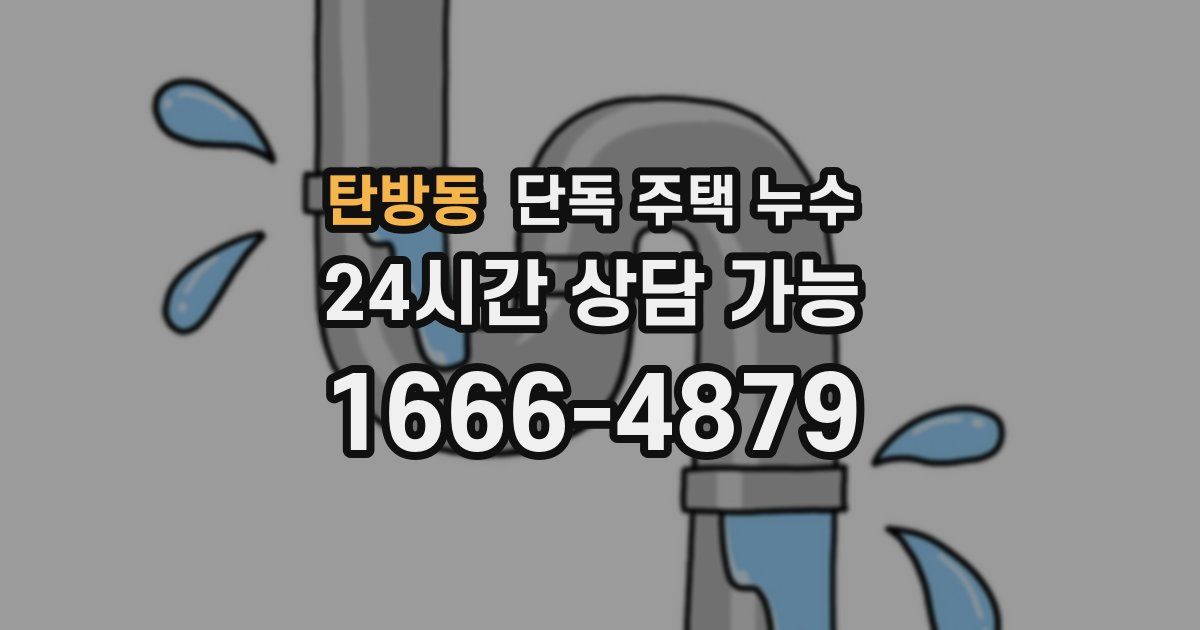 탄방동 단독 주택 누수