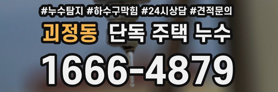 괴정동 단독 주택 누수