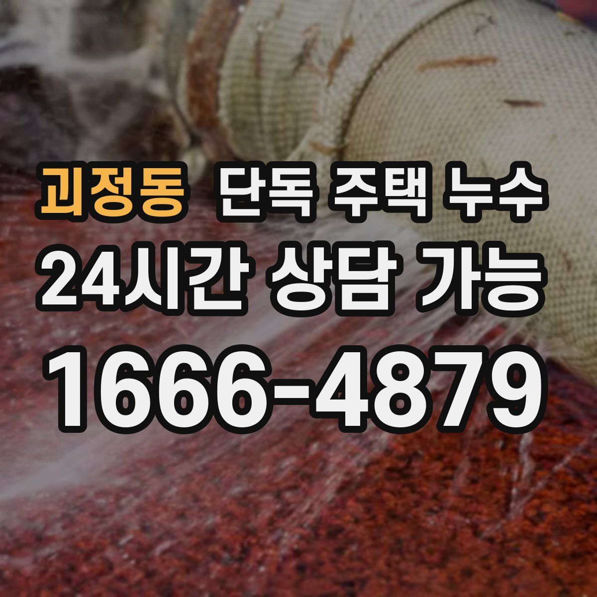 괴정동 단독 주택 누수