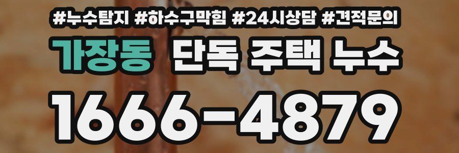가장동 단독 주택 누수