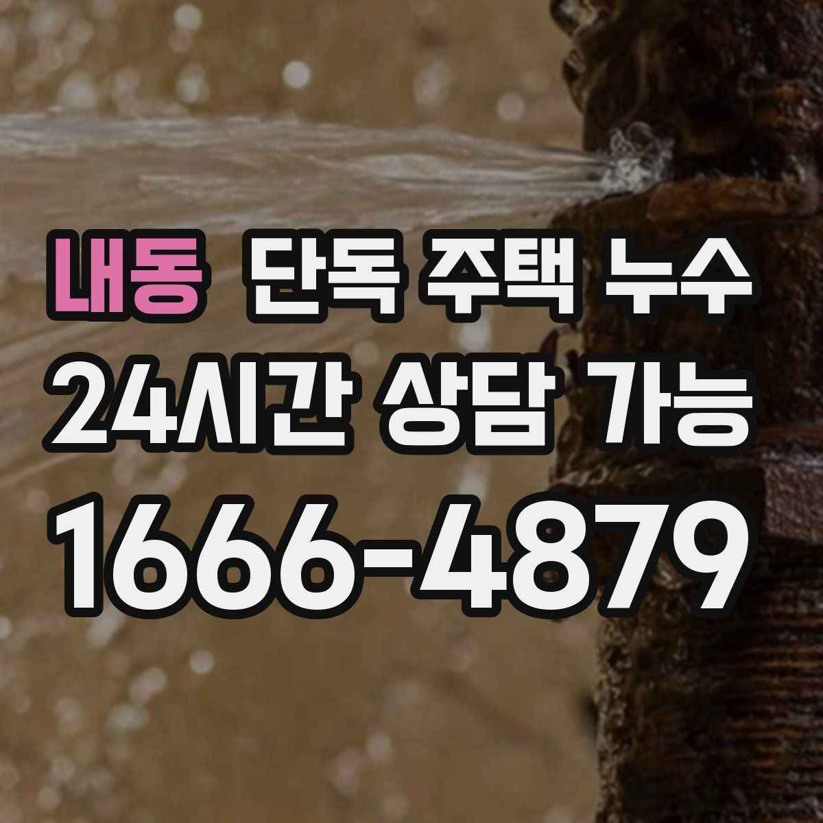 내동 단독 주택 누수 점검 순서만 알아도 재발 가능성이 줄어든다