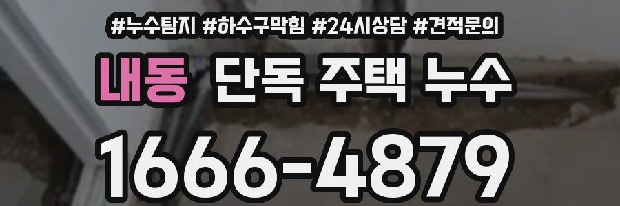 내동 단독 주택 누수