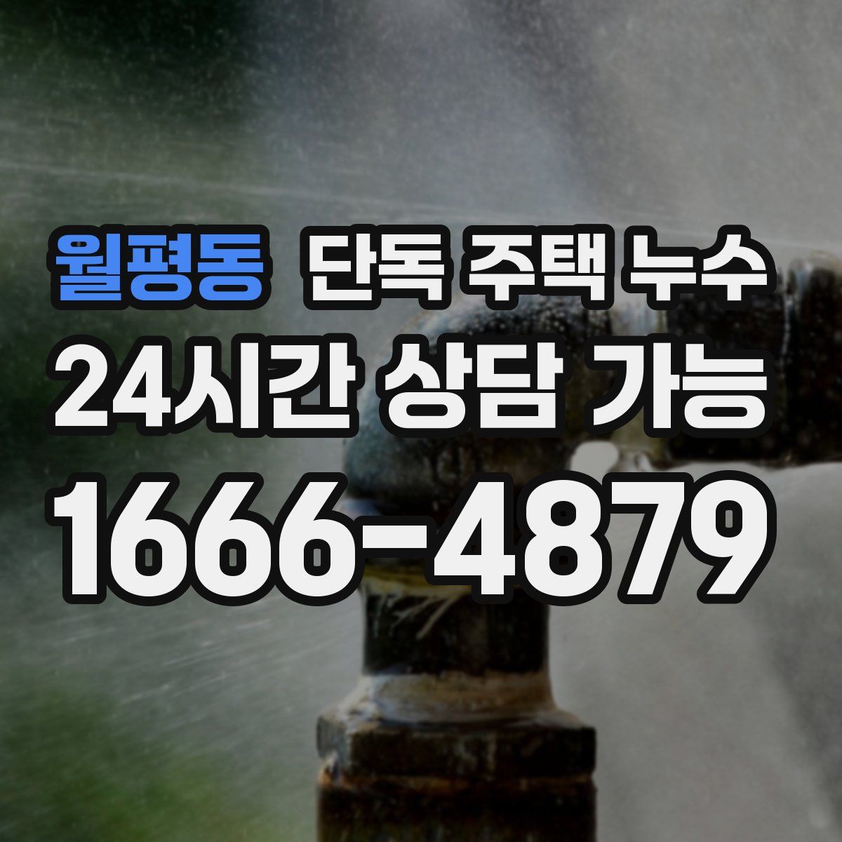 월평동 단독 주택 누수