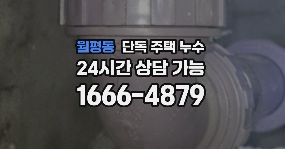 월평동 단독 주택 누수