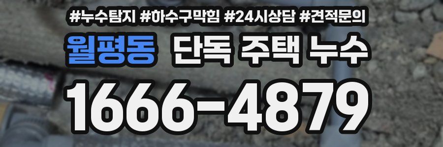 월평동 단독 주택 누수