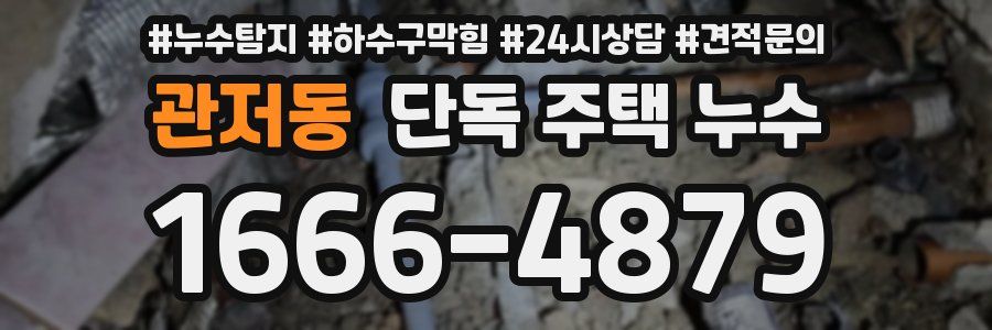 관저동 단독 주택 누수