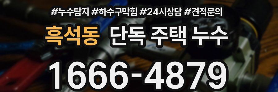 흑석동 단독 주택 누수