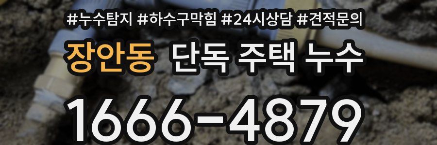 장안동 단독 주택 누수