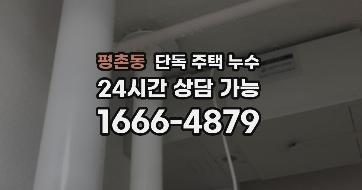 평촌동 단독 주택 누수