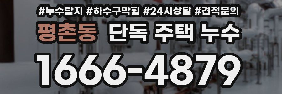 평촌동 단독 주택 누수