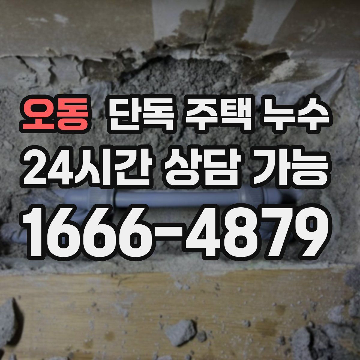 오동 단독 주택 누수