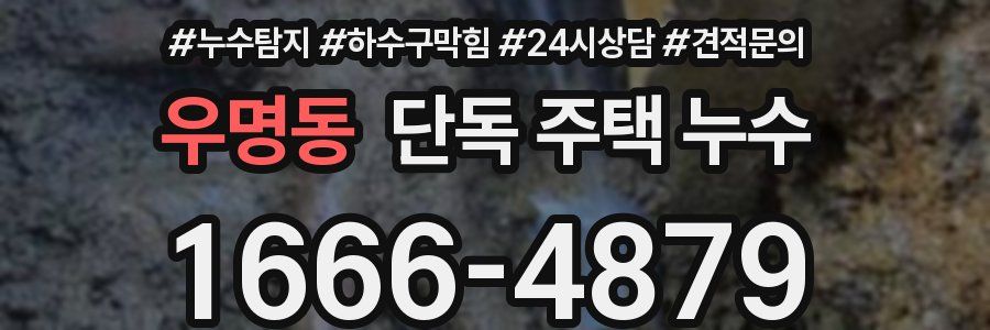 우명동 단독 주택 누수