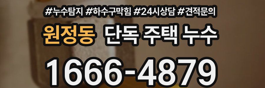 원정동 단독 주택 누수